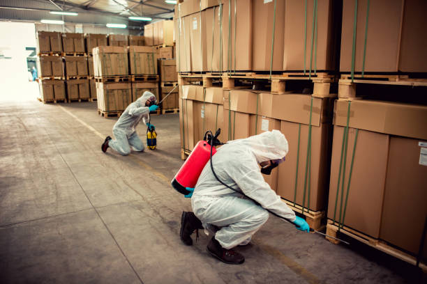 Best Pest Prevention Services  in Bloomington, MN
