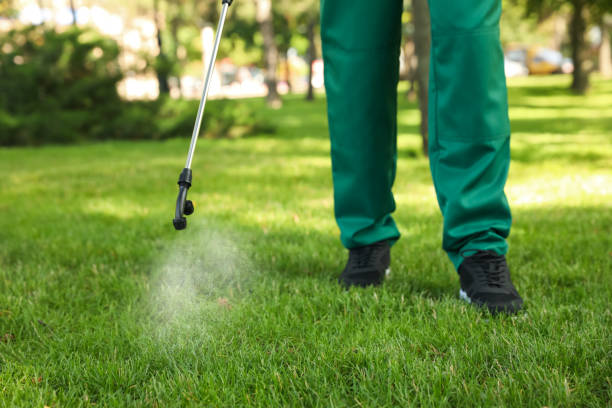 Best Best Pest Control Companies  in Bloomington, MN