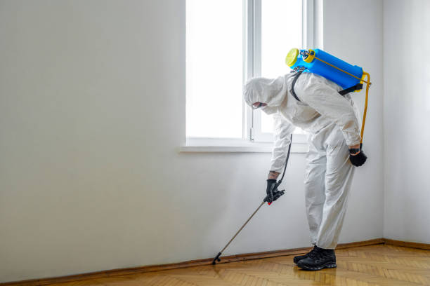 Best Termite Control Services  in Bloomington, MN