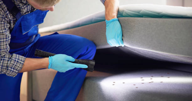 Best Pest Removal Services  in Bloomington, MN