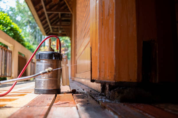 Best Best Pest Control Companies  in Bloomington, MN
