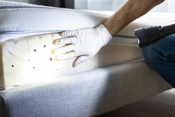 Best Commercial Pest Control Services  in Bloomington, MN