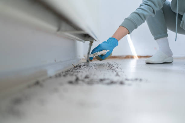 Best Bed Bug Extermination  in Bloomington, MN